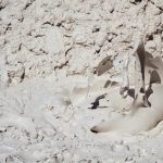 Mudpot, thermal feature, bubble — Difference between Prop and Partnership