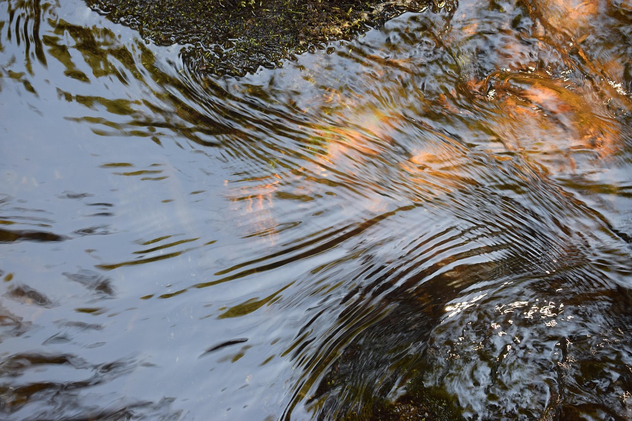 Water, nature, features — Essential Things You Need to Know About Being a Serial Entrepreneur
