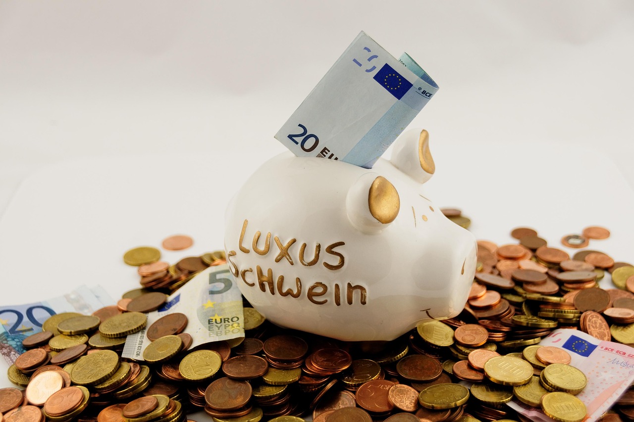 Euro, seem, money — Health Insurance Alternative in Lehi, Utah