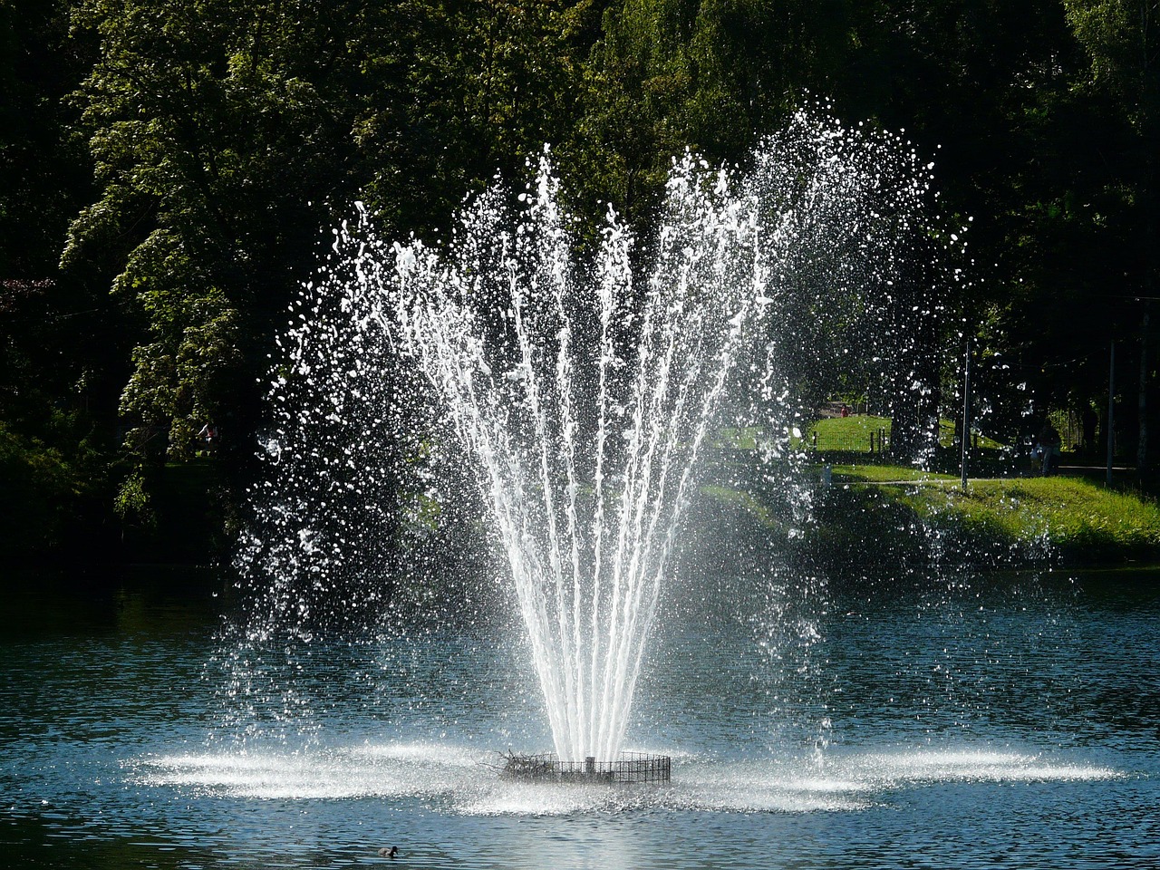 Fountain, nature, water — How Has Automation Progressed