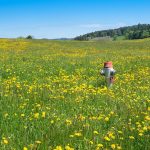 Hydrant, law, jura hike — How to Determine the Best Personal Injury Attorney for your Claim