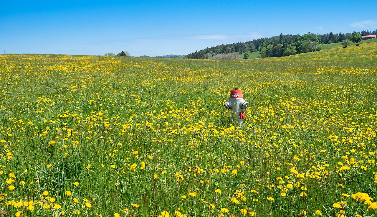 Hydrant, law, jura hike — How to Determine the Best Personal Injury Attorney for your Claim
