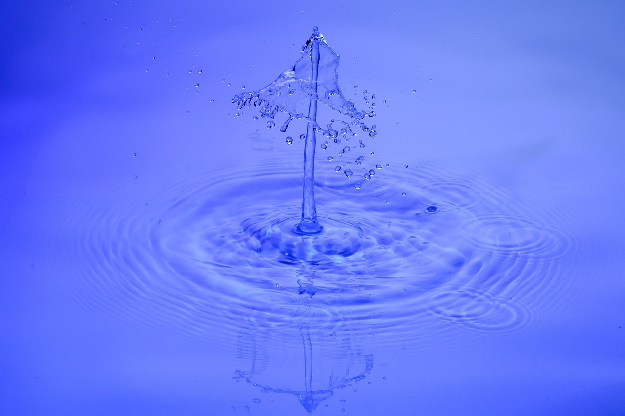Drops, water, waterdrop — Role of The best essay writing service In Developing Your Writing Skill