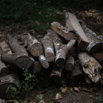 Firewood, wood, coal — The Majority Of Commercial Establishments Opt To Use Waterhog Floor Mats
