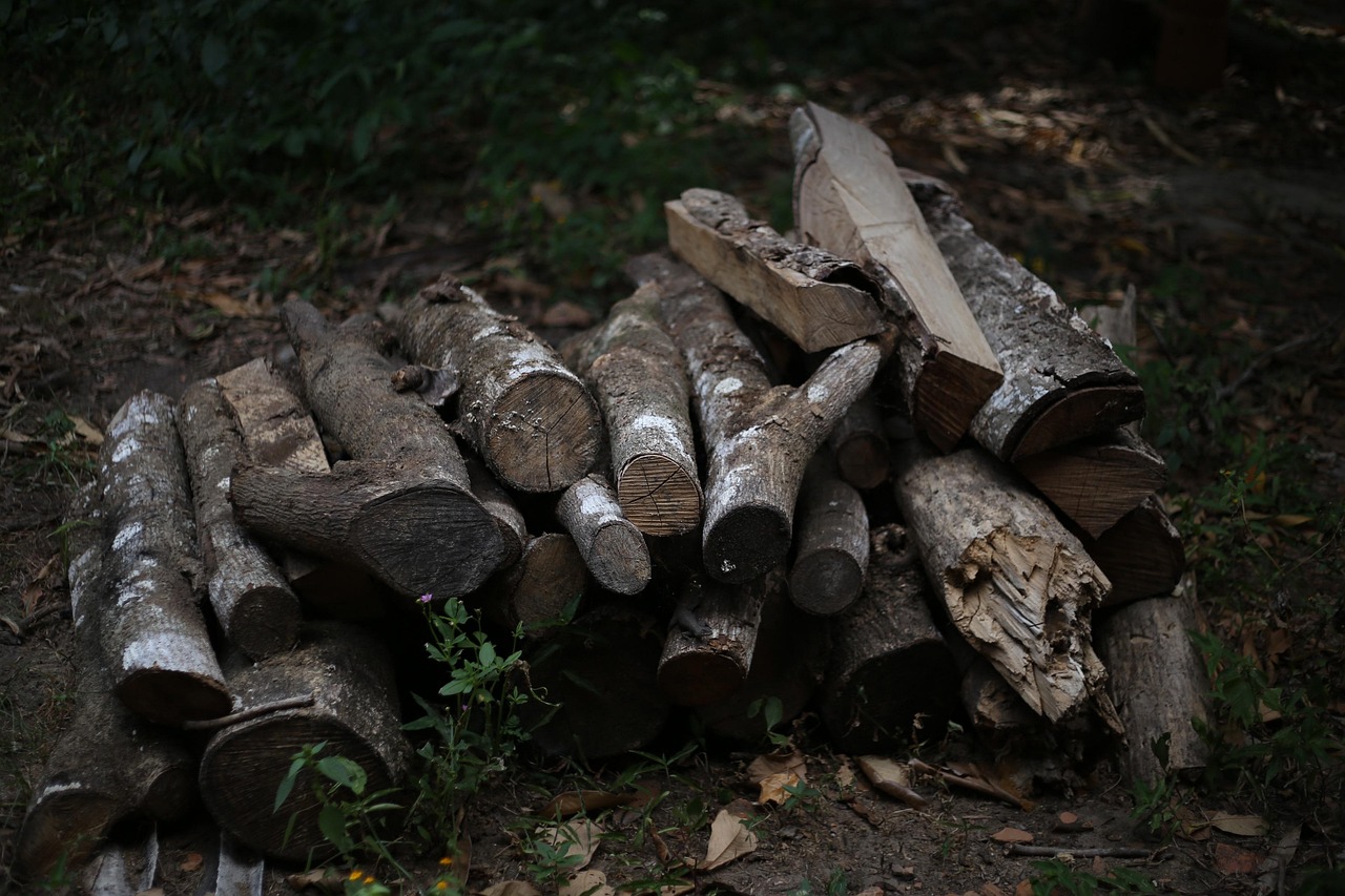 Firewood, wood, coal — The Majority Of Commercial Establishments Opt To Use Waterhog Floor Mats