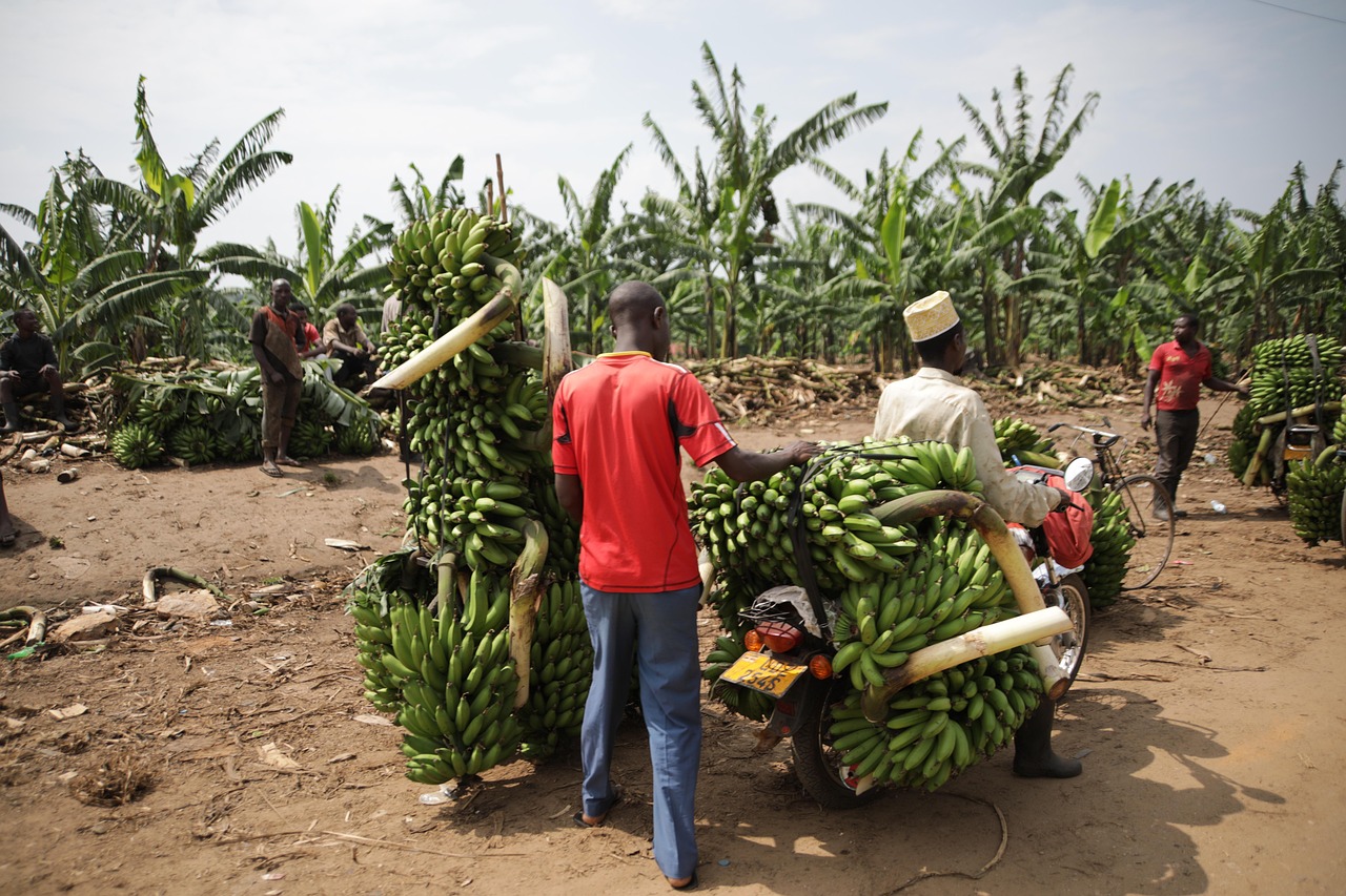 Uganda, transport, banana — What is Kinesis? And Why Go for Kinesis?