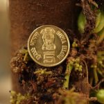 India, money, coin — What You Need to Pay Attention to in Cryptocurrency Trading
