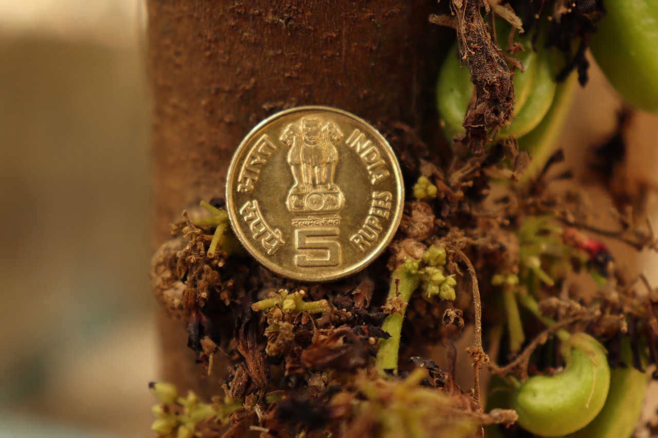 India, money, coin — What You Need to Pay Attention to in Cryptocurrency Trading