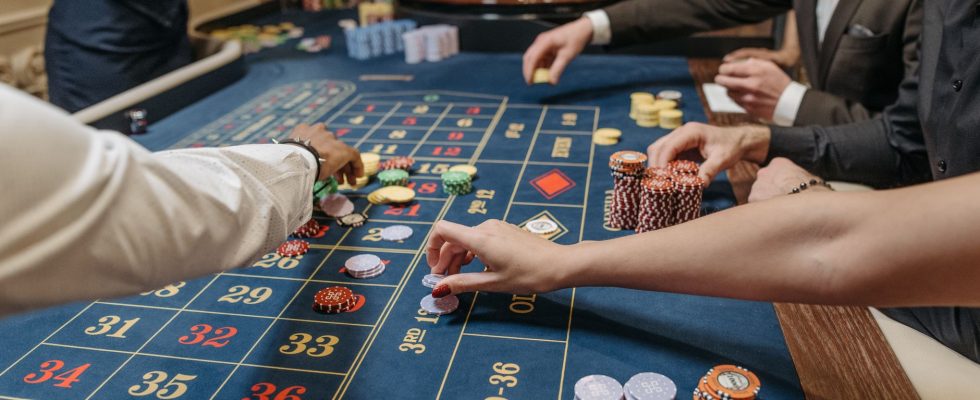 bearish bets record high
