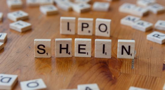 Liqvd Digital India IPO