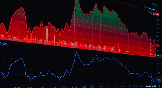 THEINVEST share price